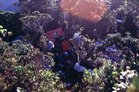 Campsite near the summit