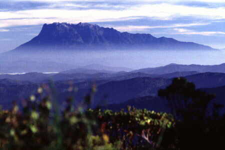 The best dawn view of Mt Kinabalu
