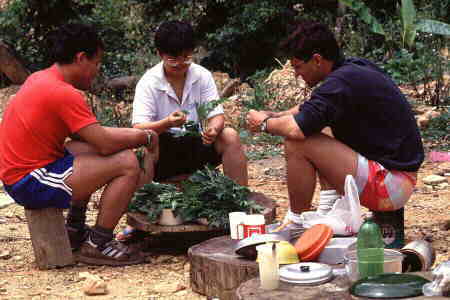 Preparing lunch at the old logging camp