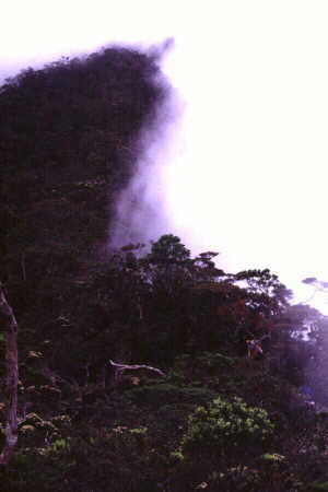 Trekking along ridge-top trail