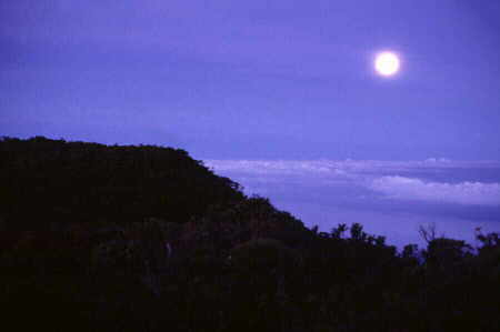 Morning moon